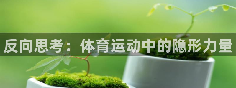 上海意昂3汽车电子有限公司