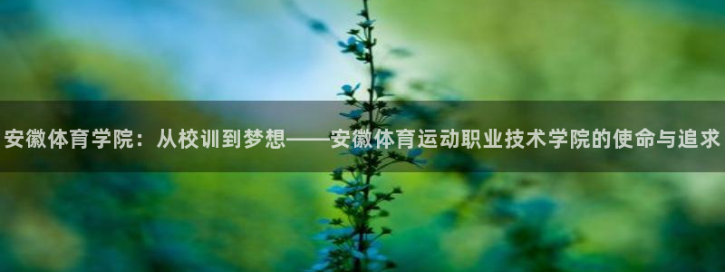 东莞市意昂电子科技有限公司