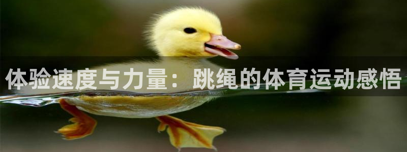 意昂3体育官网注册