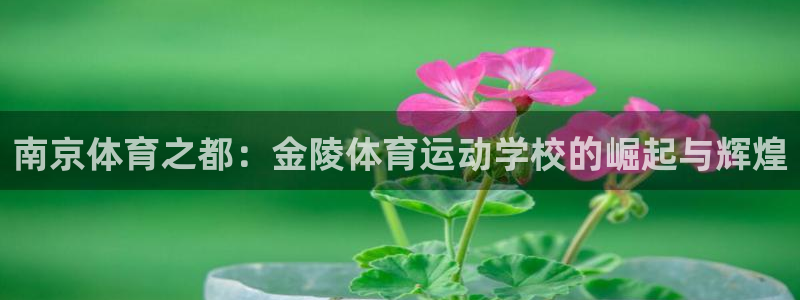 意昂3体育注册登录入口