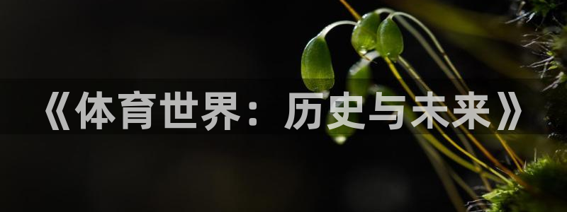 意昂3体育平台登录入口