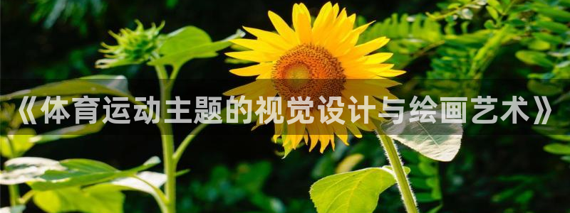 意昂35注册