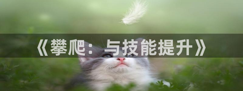 意昂5