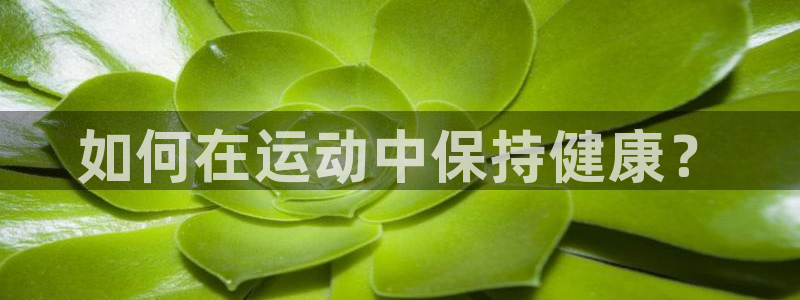 北京意昂科技有限公司
