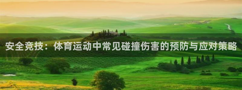 意昂3体育凯捷平台代理