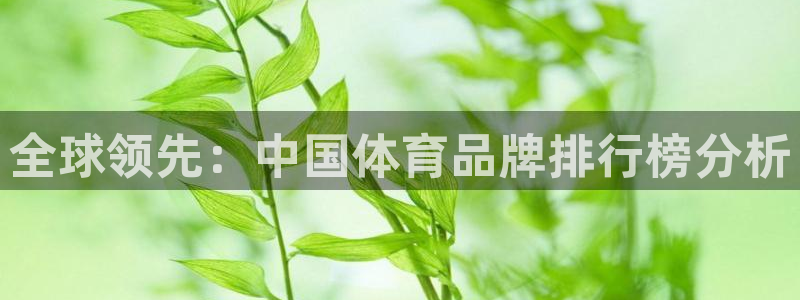 意昂3体育在线注册