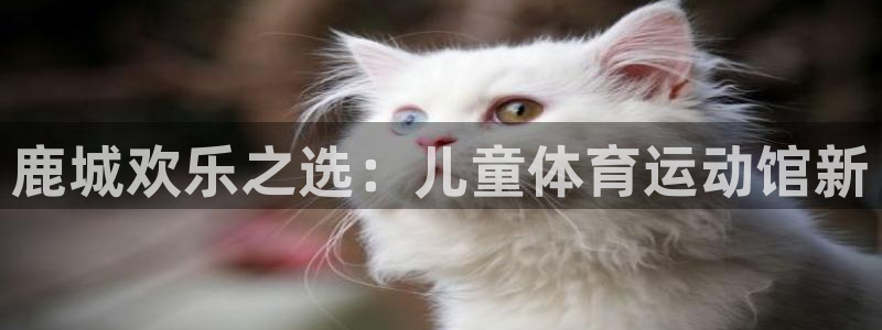 意昂34代理