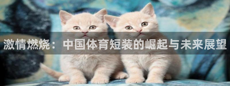 意昂体育4