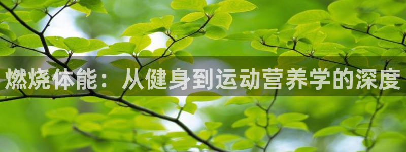 成都意昂电子有限公司