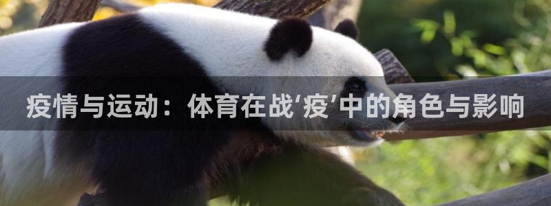 意昂3体育平台注册