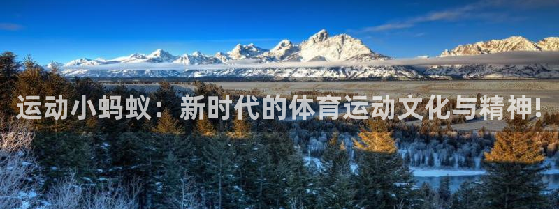 意昂3零能源集团