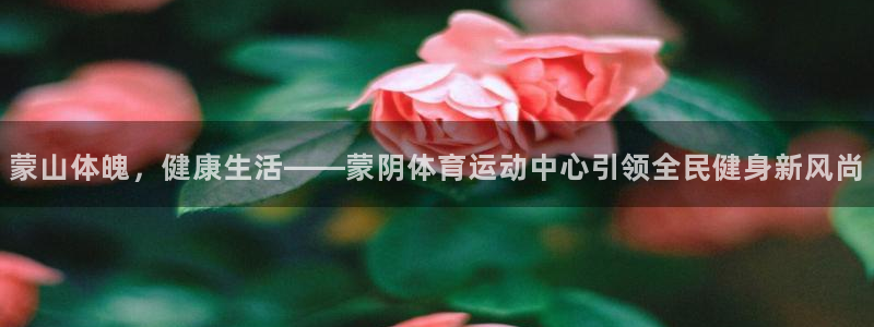 意昂3体育1招商